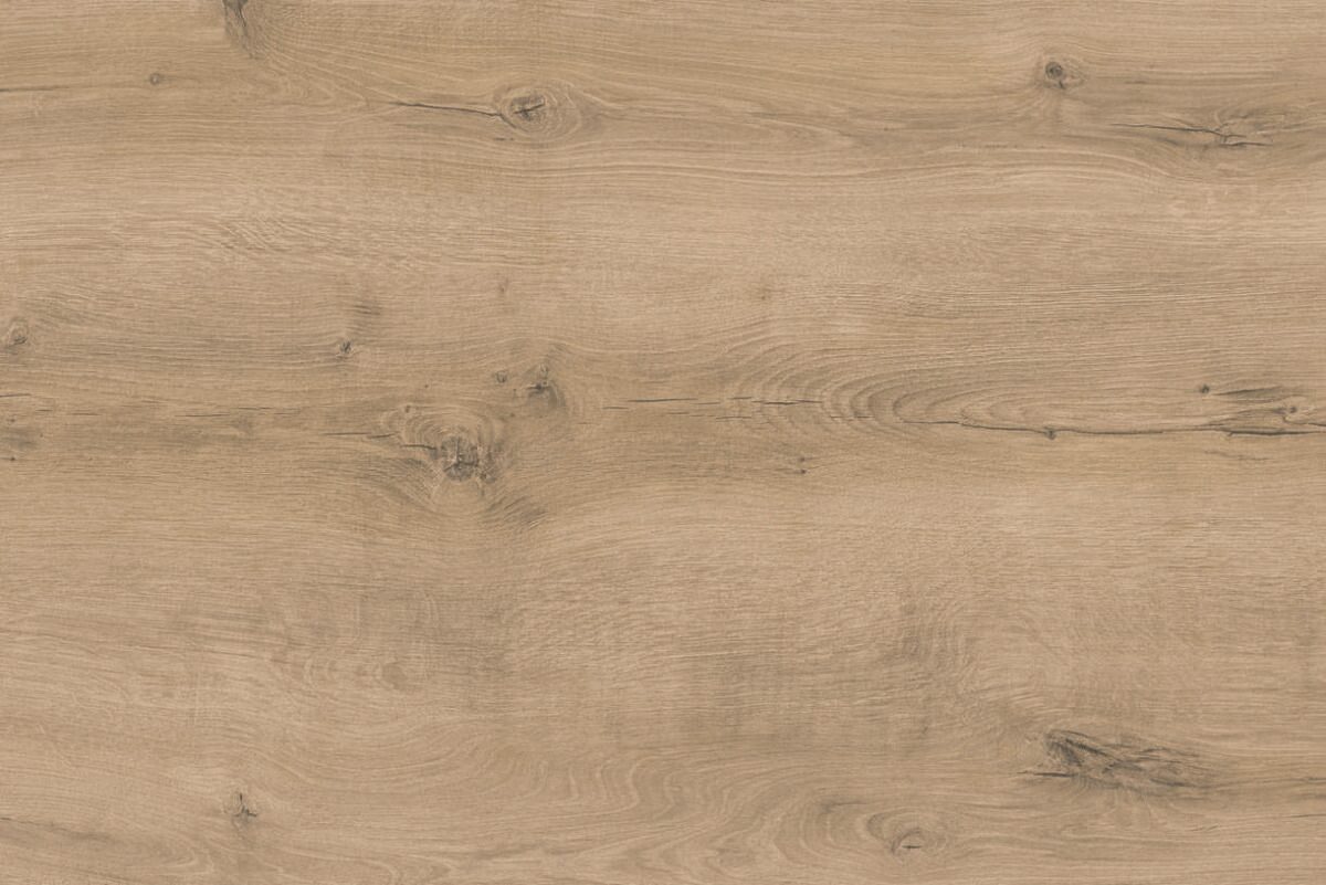 392 Eiche Nevada Nachbildung