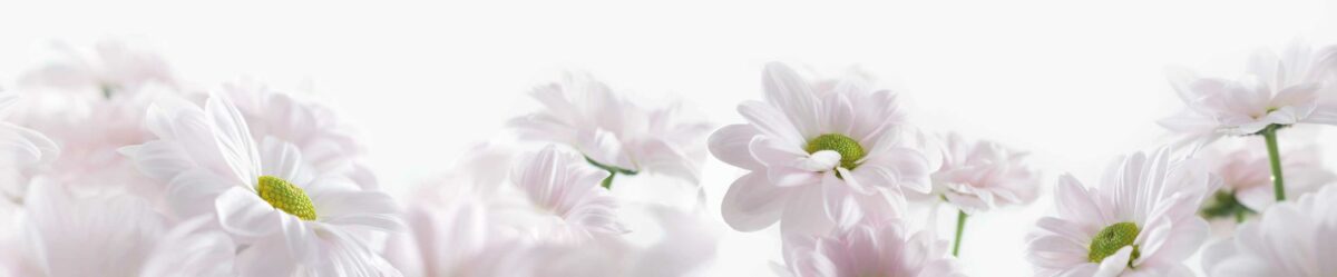 435 Dekor Blume