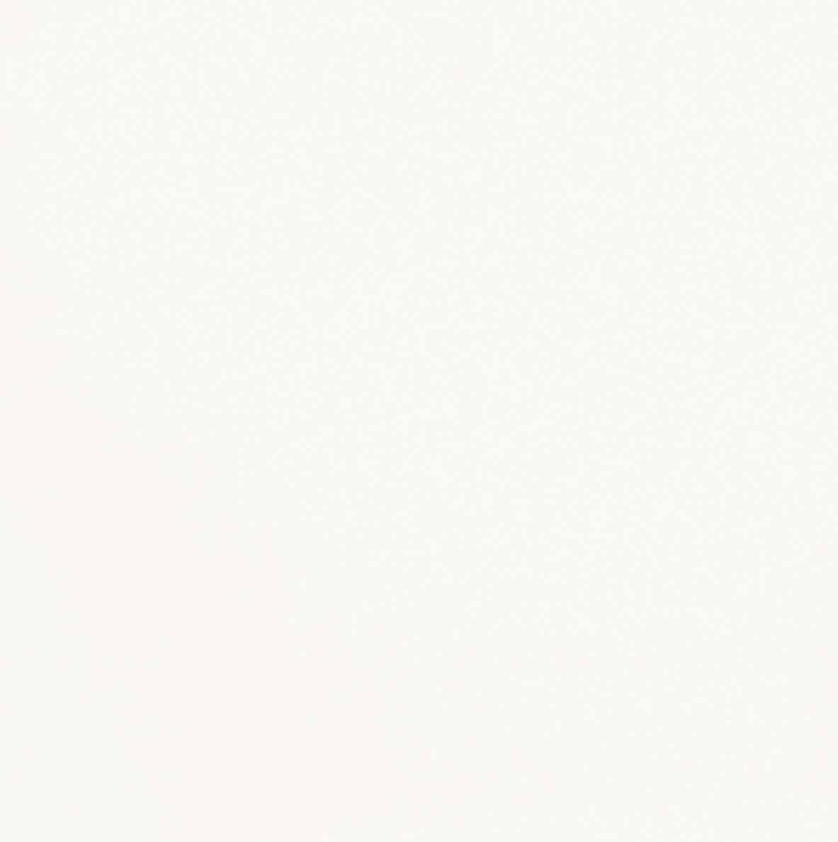 381 Alpinweiß Xtra matt