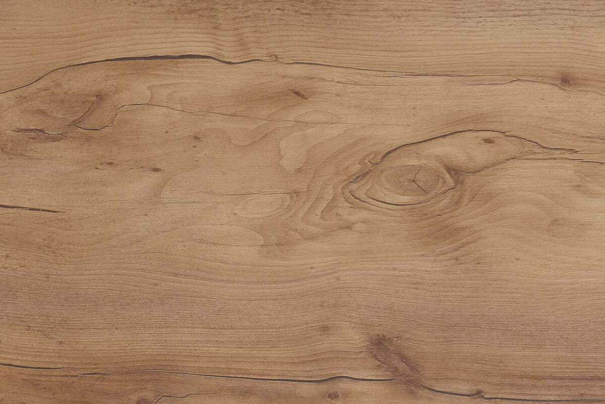 347 Taxus Nachbildung