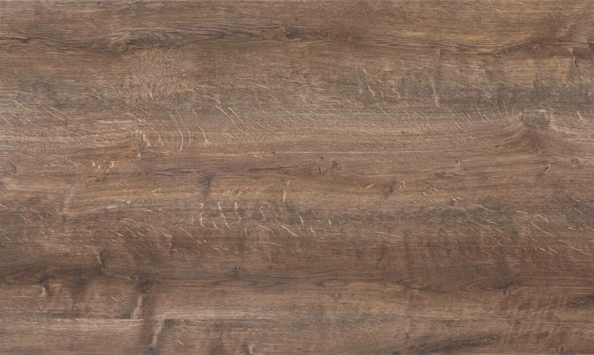 225 Stammeiche Nachbildung